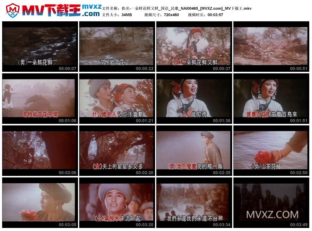 佚名-一朵鲜花鲜又鲜_国语_民歌_NAI00465